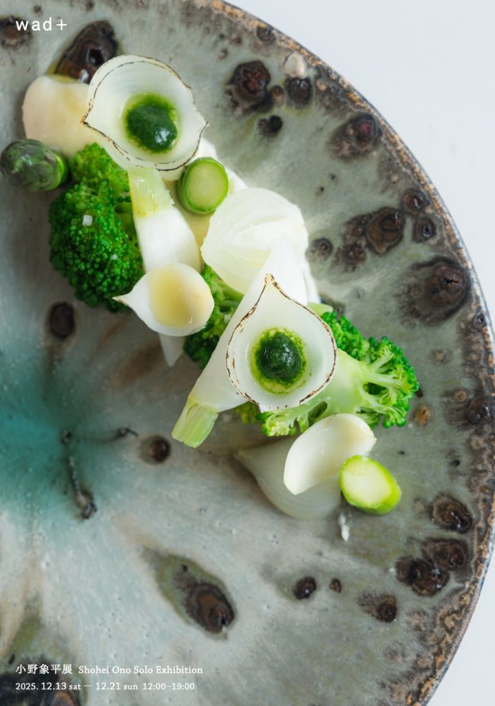 小野象平 展 Shohei Ono solo Exhibition 2025.12.13 sat - 12.21 sun